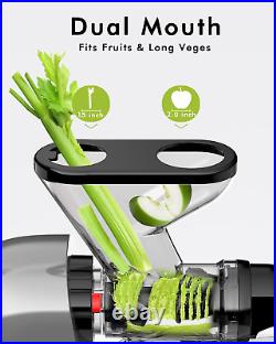 Cold Press Juicer Machine, Dual Feed Chute Slow Masticating Juicer, Vegetable