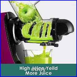 Cold Press Juicer Masticating Juicer Extractor High Juice Yield Slow Machines