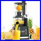 Juicer Machine, Masticating Slow Juicer with Big Wide 81Mm Chute 900 Ml Juice Cu
