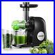 Juicer Machines, Professional Celery Slow Masticating Juicer Extractor Easy