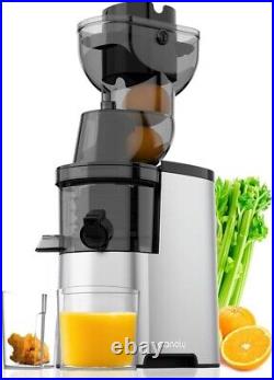 Masticating Juicer Machine 300W 3.5-inch Slow Cold Press Fruit and Veggie Juicer