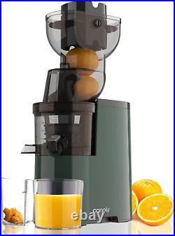 Masticating Juicer Machines, 3.5-Inch (88Mm) Slow Cold Press Juicer with Large F