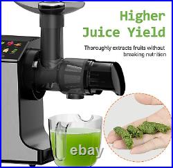Masticating Slow Juicer, Professional Stainless Juicer Machines for Vegetable an