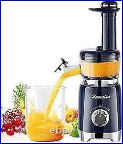 Press Juicer Machines, Slow Masticating Juicer Machines, For Vegetable and Fruit