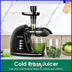 Slow Masticating Juicer, Cold Press Juicer, Juicer Machines Vegetable and Fruits