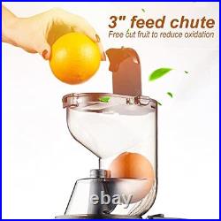 Slow Masticating Juicer Machine Cold Press Juice Extractor for Fruit Vegetables