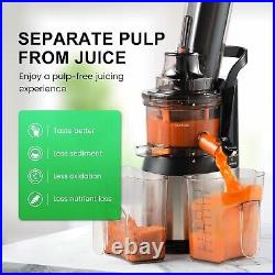 Slow Masticating Juicer Machine, Electric Cold Press Juicer, Juice Maker